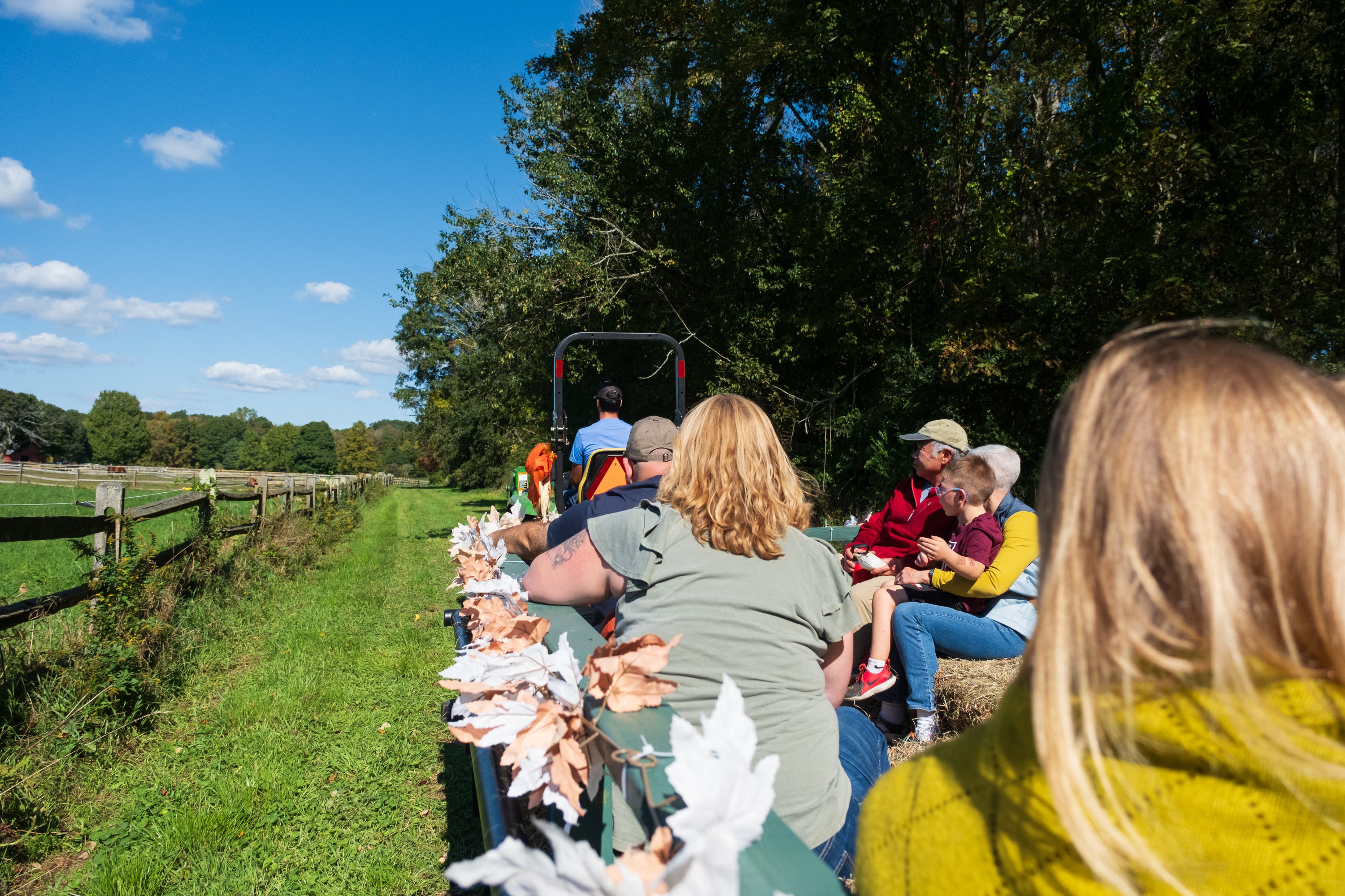 Guests enjoying the vibrant atmosphere at the Palate to Palette event, a blend of art, cuisine, and music.